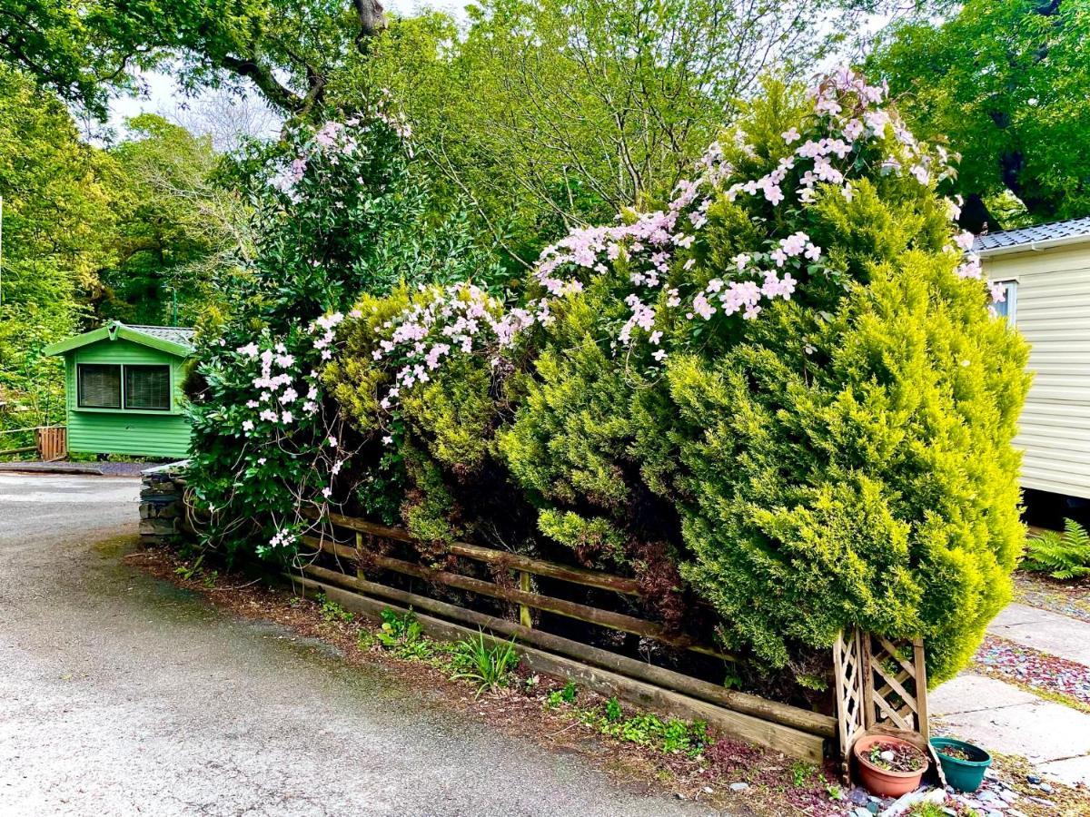Snowdonia Holidays Caravan Hire - Aberdunant Park - 34 The Green Prenteg Eksteriør billede